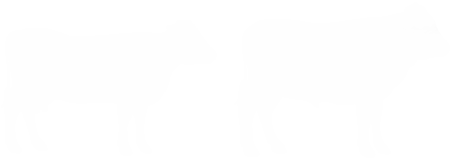 Dairy and Beef Cattle Silver Icons