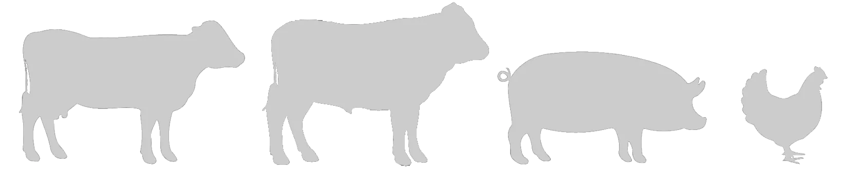 Livestock Icons Livestock Icons