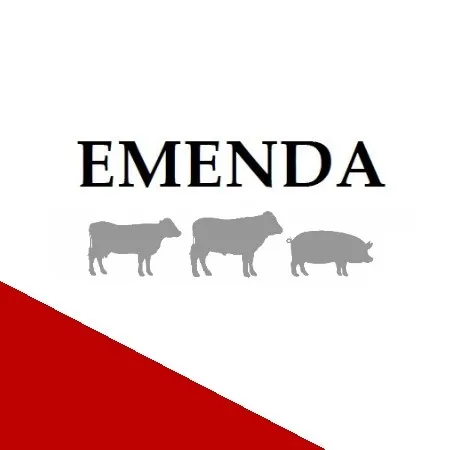 FS Emenda Product Image2