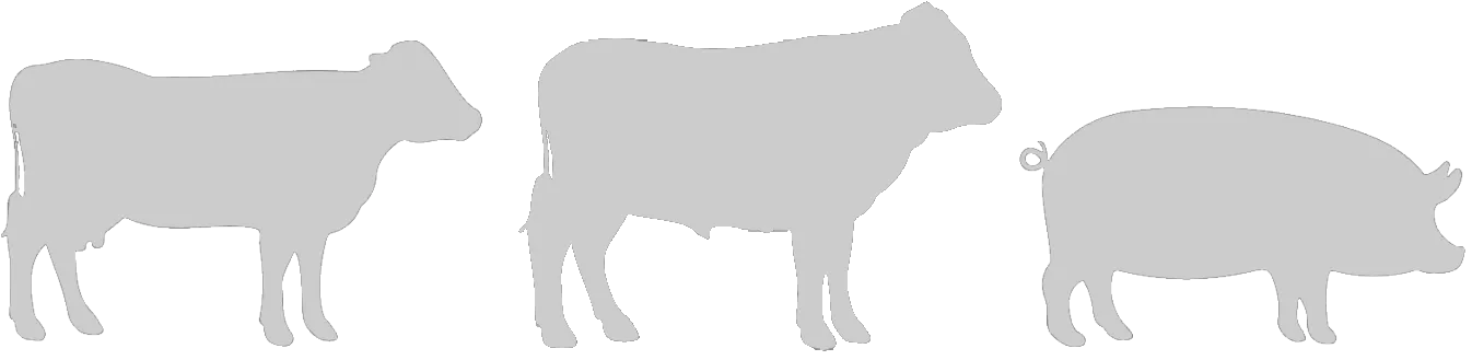 Livestock_Dairy_Beef_Pork_Icons_Large_Silver Livestock Icons